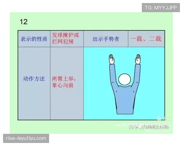 裁判手势的规范含义及在判罚中的关键作用解析